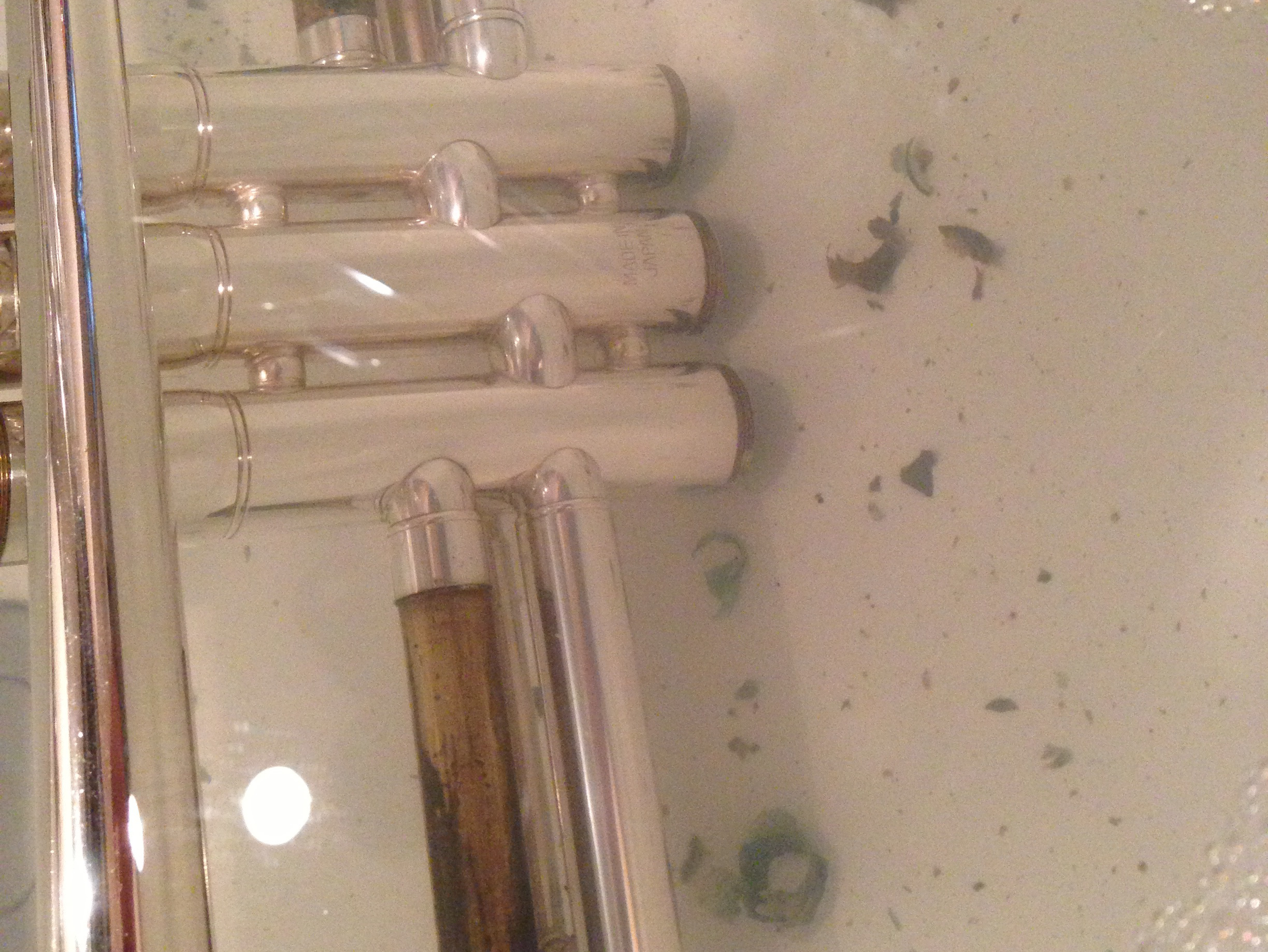 トランペット洗浄中1